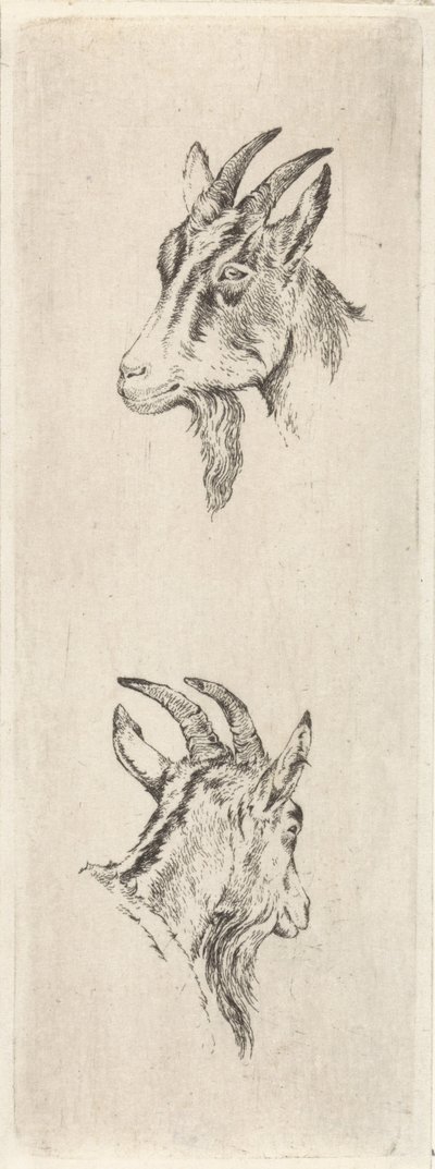 gedehoved af Pieter Janson