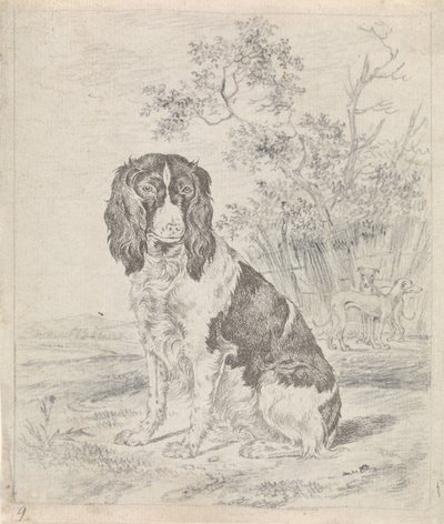 Siddende agerhønehund af Pieter Janson