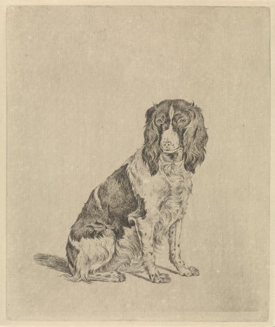 Siddende agerhønehund af Pieter Janson