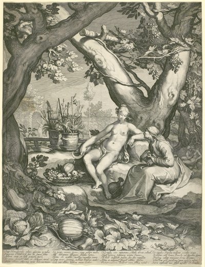 Vertumnus låner figuren af en gammel kvinde for at vinde Pomonas kærlighed, 1605 (gravering på lagt papir) af Pieter Janszoon Saenredam