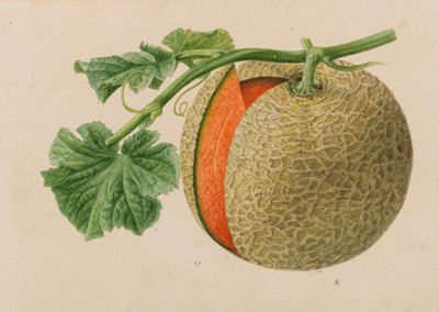 Originaler fra gartneri- og træbrugsudgivelser, 1878-1881. af Pieter Joseph de Pannemaeker