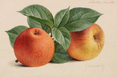 Originaler fra gartneri- og træbrugsudgivelser, 1878-1881. af Pieter Joseph de Pannemaeker