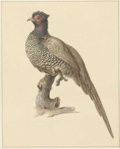 Jagt fasan af Pieter Pietersz. Barbiers
