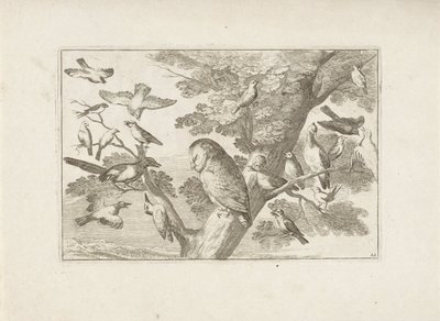 Brug en anden fugle i boom Forskellige fugle (serietitel) De mest perfekte figurer af forskellige fugle (...) (serietitel) af Pieter Schenk (I) (attributed to)