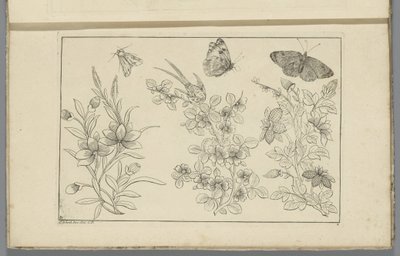 Tre blomstergrene og tre sommerfugle Kinesiske blomster og insekter (serietitel) af Pieter Schenk (II)
