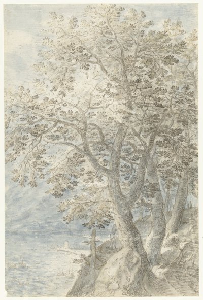 Træer ved en stejl klippevæg af Pieter Stevens (I)
