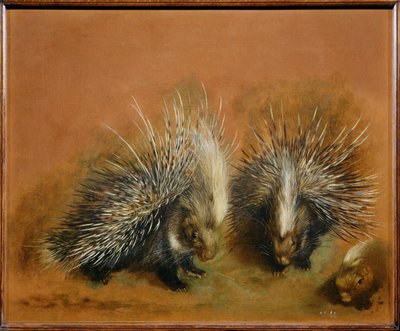 Hulepindsvin (maleri på lærred) af Pieter or Peter Boel