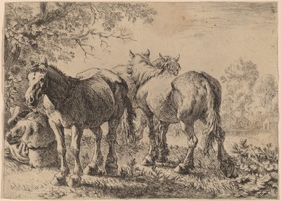 Tre Heste på en Mark af Pieter van Laer