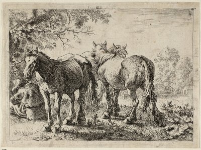 Tre heste på en mark af Pieter van Laer