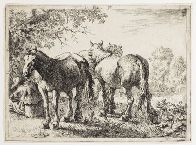 Tre heste på en mark af Pieter van Laer