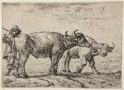 To bøfler og en hyrde af Pieter van Laer