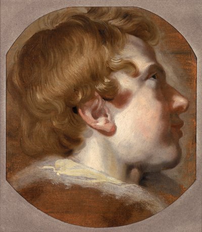 Head of a Young Boy, ca. 1620