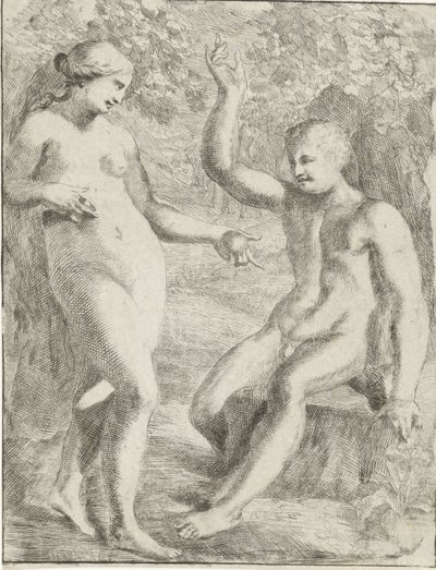 Faldet af Pieter van der Plas (II)
