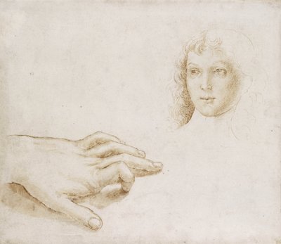 Studier af et hoved og en hånd (pen og pensel i lysebrunt blæk over metalpoint på hvidt papir) af Pietro (circle of) Perugino