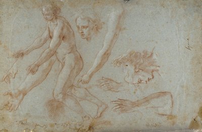 Tegning af Pietro Aquila