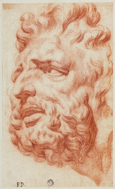Leder af Laokoon af Pietro Dandini
