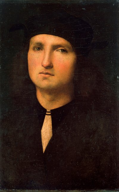Portræt af en ung mand, mellem 1495 og 1500. af Pietro Perugino