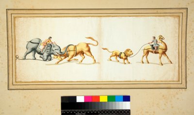 Kopi af en mosaik af en elefant, der kæmper mod en tyr (sort kridt, nogle med pen og brunt blæk. farvet med akvarel) af Pietro Santi Bartoli