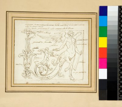 Ornamenter, der deler Amazonernes sejre, en lavet af farver, andre af klart mørke Europa) af Pietro Santi Bartoli