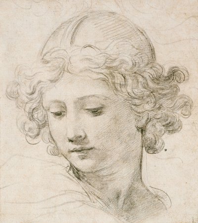 Hovedet af en engel, ser ned til venstre af Pietro da Cortona