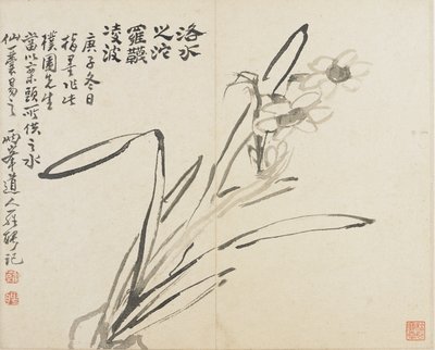 Landskaber, blomster og fugle: Narcissus, Qing-dynastiet af Luo Ping