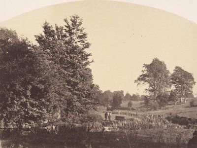 The Woodland Stream, 1856. af Plunket