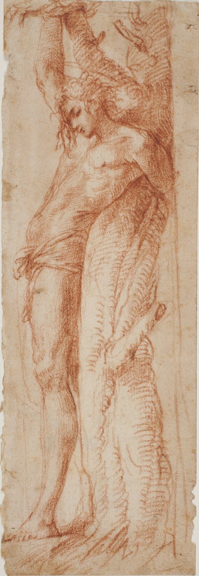 Sankt Sebastian af Polidoro da Caravaggio