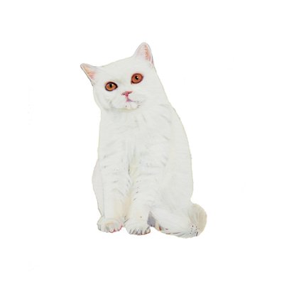 British Shorthair White, 2014 (akvarel og gouache på papir) af Polly Horner