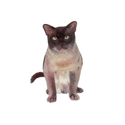 Burmesisk chokolade-champagne, 2014 (akvarel og gouache på papir) af Polly Horner