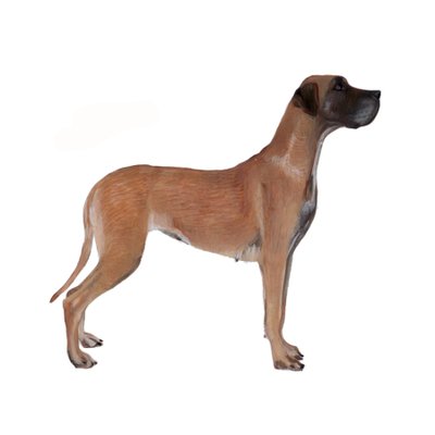 Great Dane, 2011 (akvarel og gouache på papir) af Polly Horner