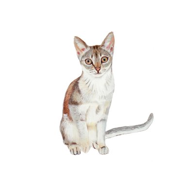 Singapura, 2014 (akvarel og gouache på papir) af Polly Horner