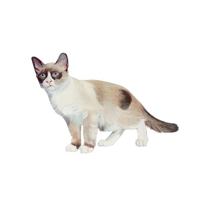 Snowshoe, 2014 (akvarel og gouache på papir) af Polly Horner