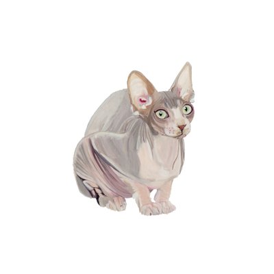 Sphynx, 2014 (akvarel og gouache på papir) af Polly Horner