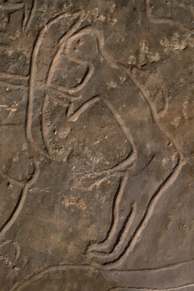 Menneskefigur og tyrehoved (helleristning) af Prehistoric