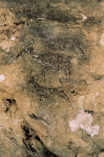 Mesolitisk klippekunst: Hjorte og geder (8000-7000 f.Kr.), Spanien, Bicorp, La Arana-hulen (maleri) af Prehistoric Prehistoric