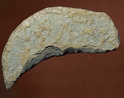 Forhistorie: værktøj af snittetypen af litisk fremstilling af Kjokkenmoddinger, danmark. Palæolitikum. Verone, Museo Civico di Storia Naturale, Italien af Prehistoric Prehistoric