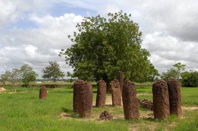Forhistorie: Megalitisk cirkel af sten fra Wassu, Gambia (foto) af Prehistoric Prehistoric