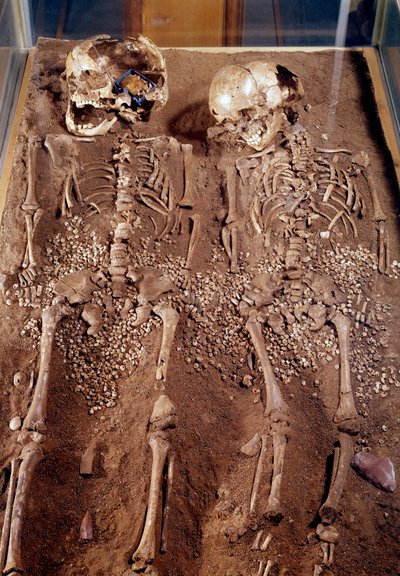 Forhistorie: Skeletter af to børn. 30000-25000 f.Kr. Fra Grimaldi-hulen. Saint Germain en Laye, Museum of National Archaeology af Prehistoric Prehistoric
