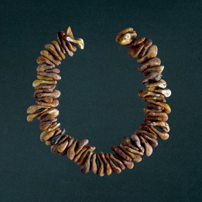 Forhistorie, stenalder: halskæde af knogler fra hulen Polesine, Veneto. Rom, Luigi Pigorini Nationalmuseum for forhistorisk etnografi af Prehistoric Prehistoric