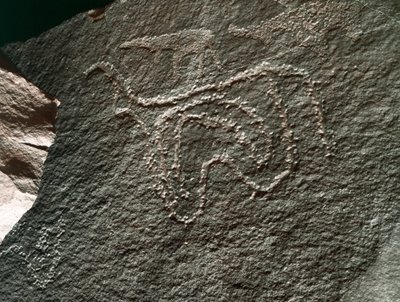 Forhistorie, klippekunst: en seriøs klippe af repræsentationen af et kvæg. Tazina stil. Stenalder 5000-2000 f.Kr. Taghit, Haut plateau du Hoggar (Ahaggar), Algeriet af Prehistoric Prehistoric