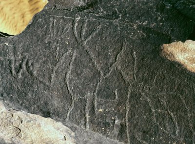 Forhistorie, klippekunst: seriøs rock. Stenalder 5000-2000 f.Kr. Taghit, Hoggar Highland (Ahaggar), Algeriet af Prehistoric Prehistoric