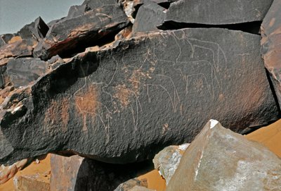 Forhistorie, klippekunst: gravsten af repræsentationen af kvæg. Tazina stil. Stenalder 5000-2000 f.Kr. Taghit, Haut plateau du Hoggar (Ahaggar), Algeriet af Prehistoric Prehistoric