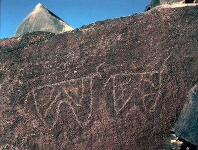 Forhistorie, klippekunst: gravsten af repræsentationen af kvæg. Tazina stil. Stenalder 5000-2000 f.Kr. Taghit, Haut plateau du Hoggar (Ahaggar), Algeriet af Prehistoric Prehistoric