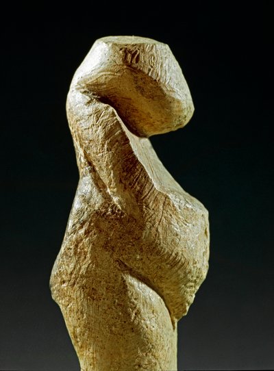 Forhistorie: statue af Gravettian kvinde fra stedet for Kostenki (Voronezh Oblast). 30000-25000 f.Kr. Øvre palæolitikum, stenalder. Sankt Petersborg, Peter den Store Museum for Antropologi og Etnografi, Rusland af Prehistoric Prehistoric