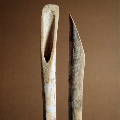 Forhistorie: værktøjer til at fjerne bark fra skinnebenet fra geder og får fra Necropole of Arene Candide (Finale Liguria), Liguria. Mellemneolitikum, stenalder. Gener, museo di archeologia ligure af Prehistoric Prehistoric