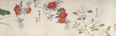 Blomster, Handscroll (blæk og farve på papir) af Qing Dynasty Chinese School