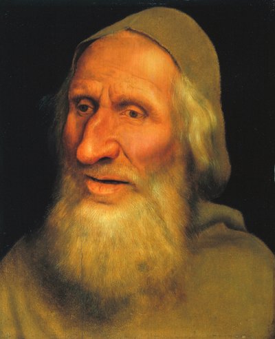 Head of an Old Man, ca. 1525 (olie på panel) af Quentin Massys or Metsys