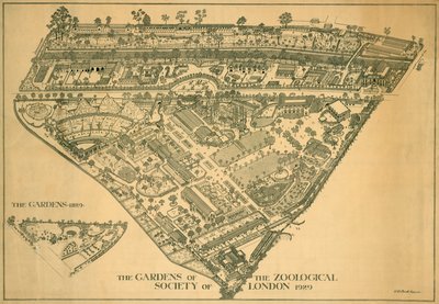 London Zoo, Regents Park, Westminster, 1929 af RB Brook Greaves
