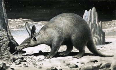 Aardvark af R.B. Davis