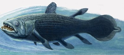 Coelacanth af R.B. Davis